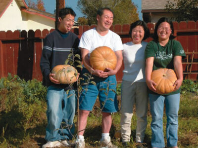 Korean Vegetable Garden Image